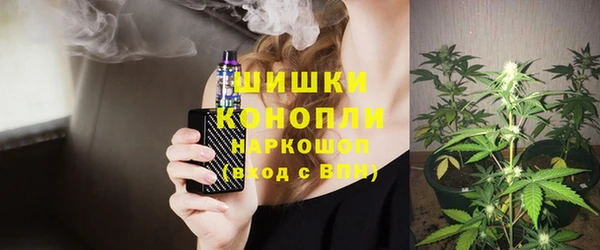 индика Корсаков