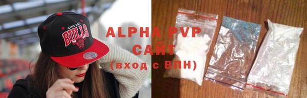 индика Корсаков