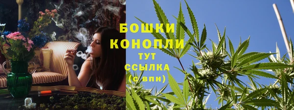 индика Корсаков