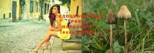 индика Корсаков