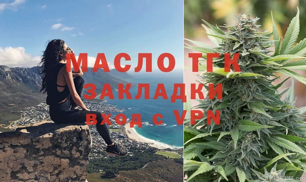 индика Корсаков
