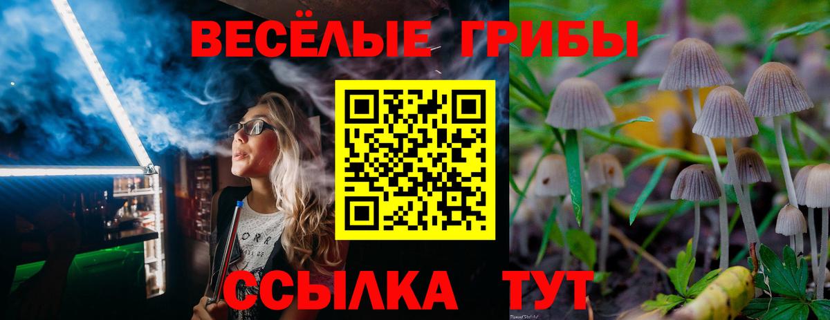 Псилоцибиновые грибы MAGIC MUSHROOMS  Вход с VPN  Псилоцибиновые грибы прущие грибы  Котовск 